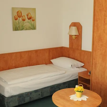 爱特多富茹穆凯纳酒店 酒店 沃尔夫